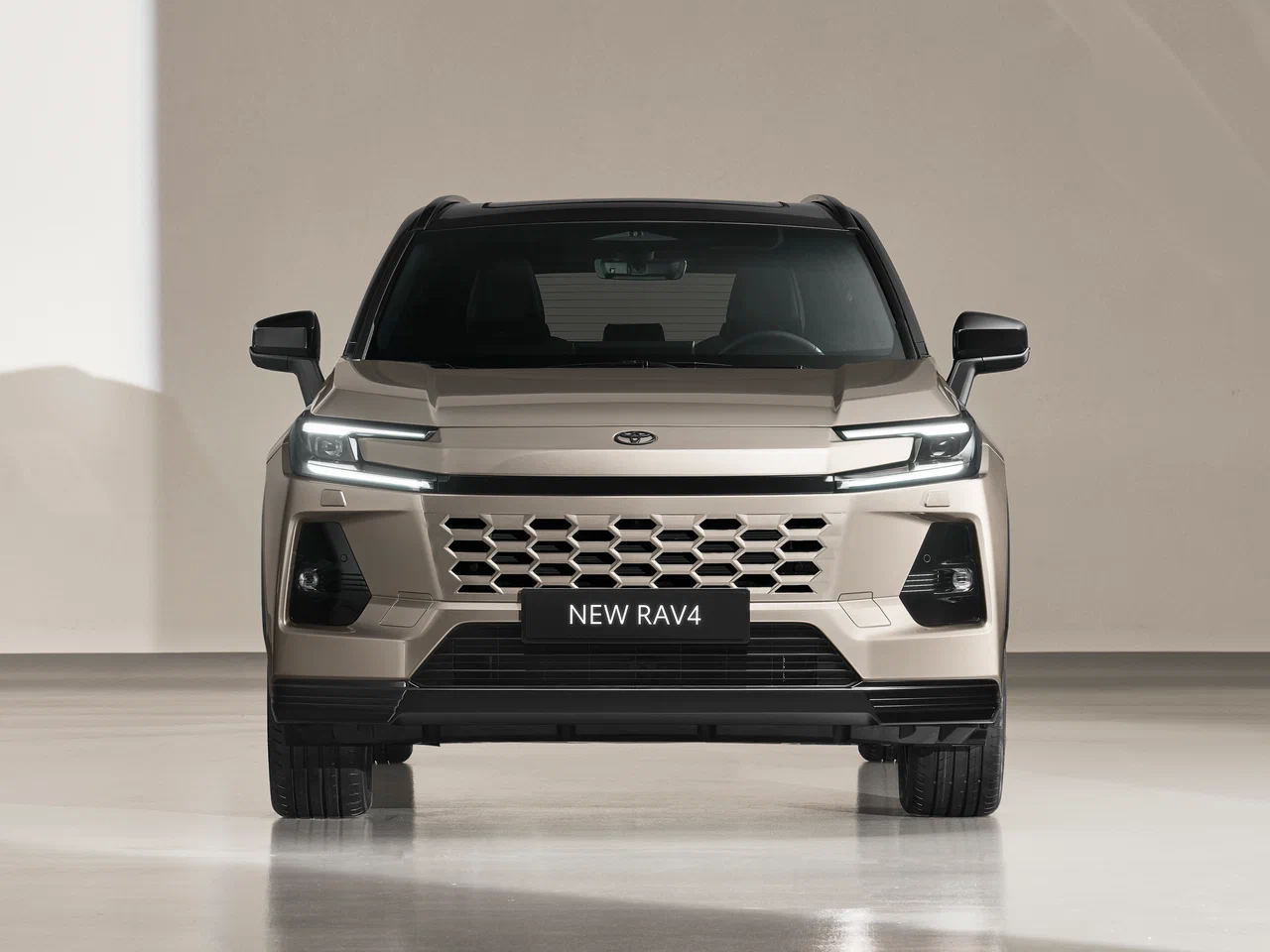 Toyota RAV4 VI